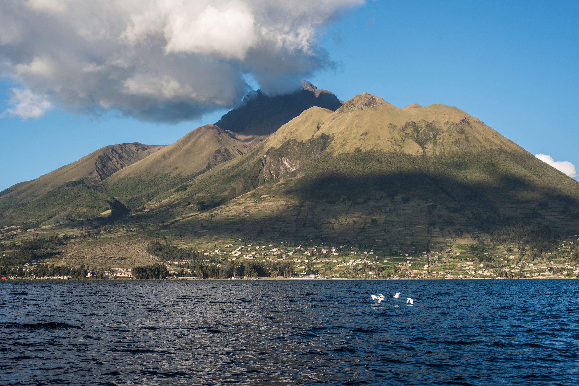 otavalo 04.webp